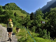 09 Breve tratto su stradetta, a dx sentiero 231 per Passo di Val Vedra che faremo al ritorno